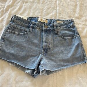 Agolde Light Blue Jean Shorts
